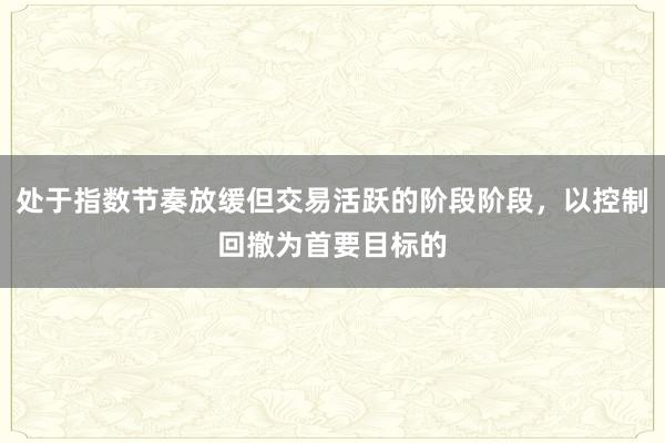 处于指数节奏放缓但交易活跃的阶段阶段，以控制回撤为首要目标的