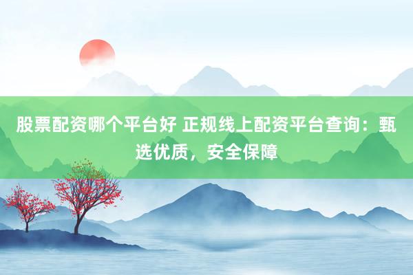 股票配资哪个平台好 正规线上配资平台查询：甄选优质，安全保障