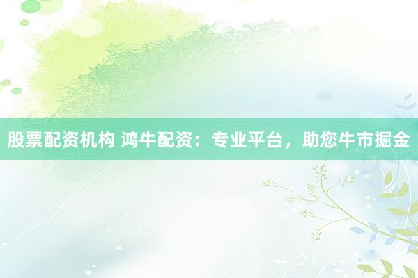 股票配资机构 鸿牛配资：专业平台，助您牛市掘金